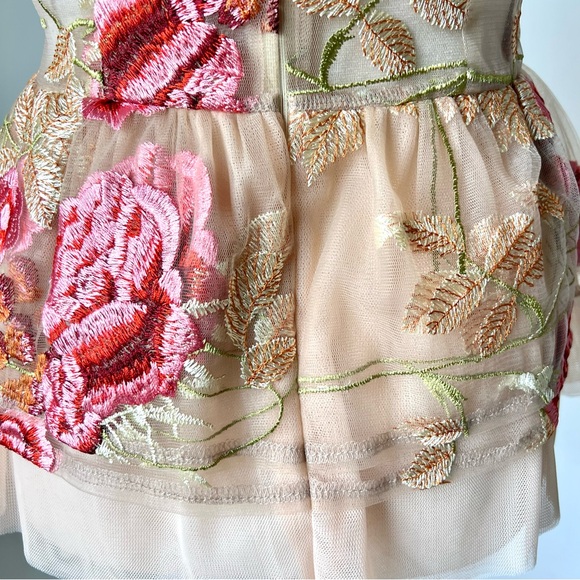 VONE Embroidered Floral Sleeveless Sheer Lelan Peplum Blouse—SZ. 6 - Picture 13 of 16